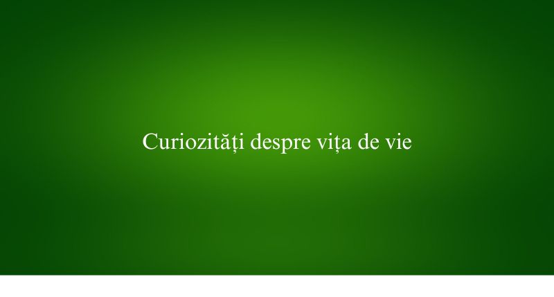 Curiozități despre vița de vie