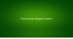 Curiozitati desprte castor
