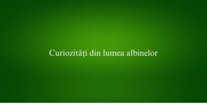 Curiozități din lumea albinelor