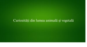 Curiozități din lumea animală și vegetală