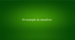 10 exemple de metafore