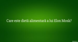 Care este dietă alimentară a lui Elon Mosk