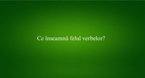 Ce înseamnă felul verbelor
