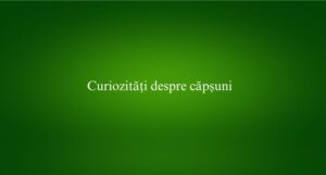 Curiozități despre căpșuni