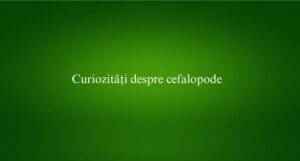 Curiozități despre cefalopode