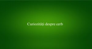 Curiozități despre cerb