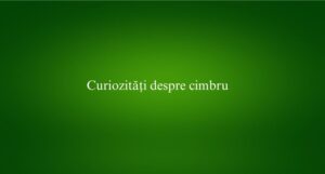 Curiozități despre cimbru