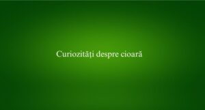 Curiozități despre cioară