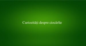 Curiozități despre ciocârlie