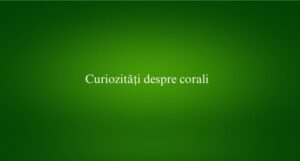 Curiozități despre corali