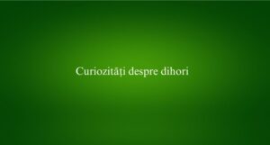 Curiozități despre dihori