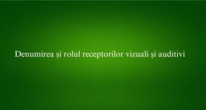 Denumirea și rolul receptorilor vizuali și auditivi