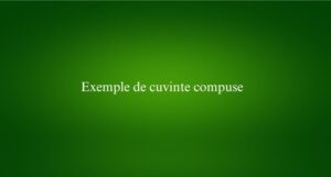 Exemple de cuvinte compuse