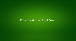 Proverbe despre Anul Nou