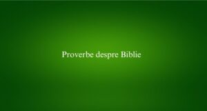 Proverbe despre Biblie