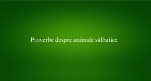 Proverbe despre animale sălbatice