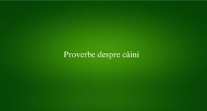 Proverbe despre câini