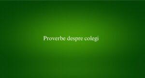 Proverbe despre colegi