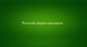 Proverbe despre cunoaștere