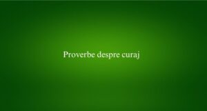Proverbe despre curaj