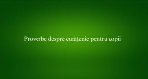 Proverbe despre curățenie pentru copii