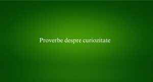 Proverbe despre curiozitate