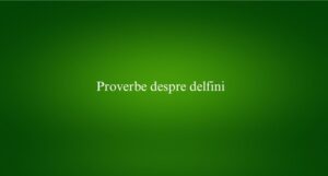 Proverbe despre delfini