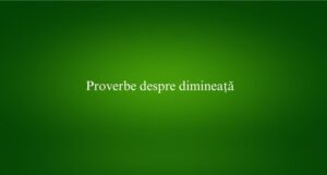 Proverbe despre dimineață