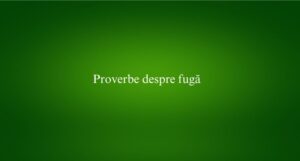 Proverbe despre fugă