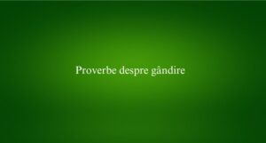 Proverbe despre gândire