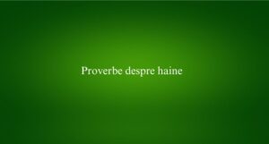 Proverbe despre haine