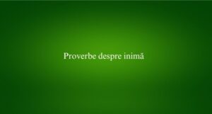 Proverbe despre inimă