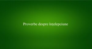 Proverbe despre înțelepciune