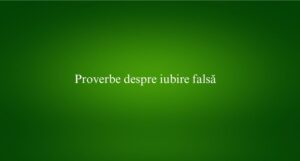 Proverbe despre iubire falsă