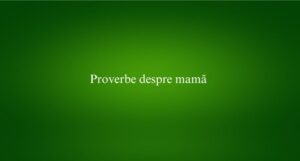 Proverbe despre mamă