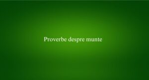 Proverbe despre munte