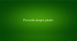 Proverbe despre păsări