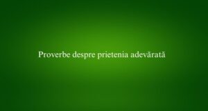 Proverbe despre prietenia adevărată