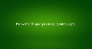 Proverbe despre prietenie pentru copii