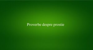 Proverbe despre prostie