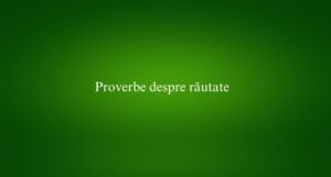 Proverbe despre răutate