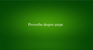 Proverbe despre șarpe