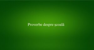Proverbe despre școală