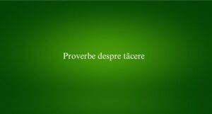 Proverbe despre tăcere