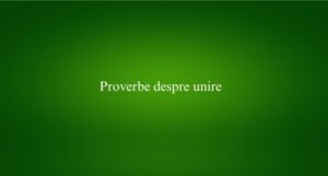 Proverbe despre unire