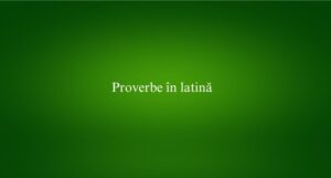 Proverbe în latină