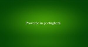 Proverbe în portugheză