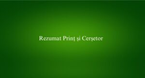 Rezumat Prinț și Cerșetor