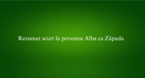 Rezumat scurt la povestea Alba ca Zăpada