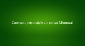 Care sunt personajele din cartea Minunea